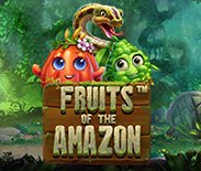 Fruits of the Amazon